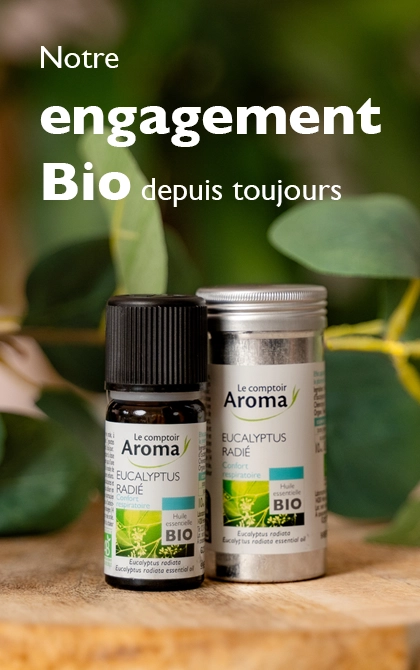 Le Comptoir Aroma