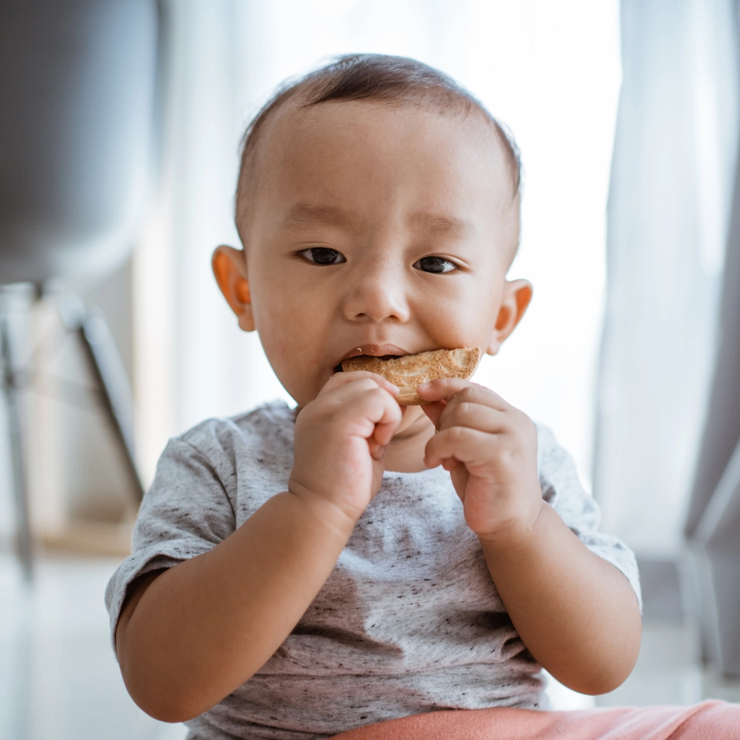 Enfant mangeant un biscuit - Laboratoires Gilbert