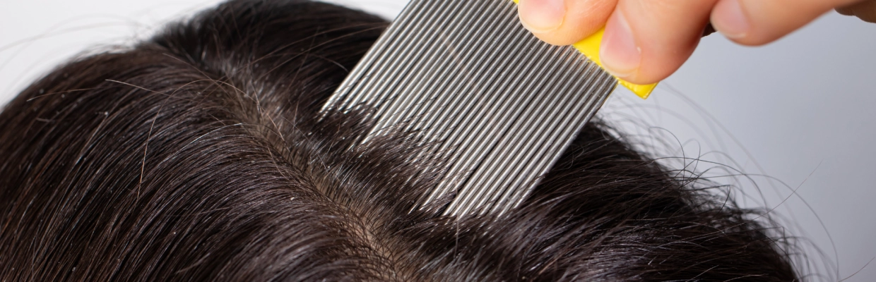 Peigner les poux - Laboratoires Gilbert