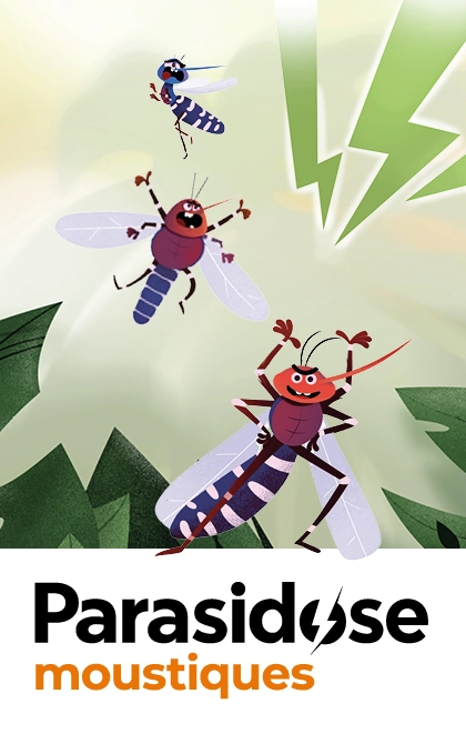 Parasidose Moustiques
