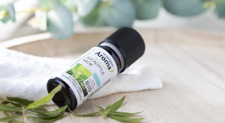 LCA-ambiance-883323-3518648833234-eucalyptus_radie-1-format_large.png