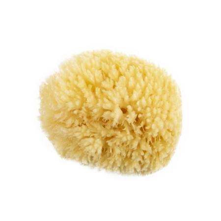 SANODIANE Éponge naturelle